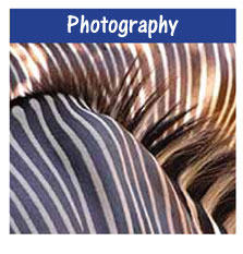 Home Photography
